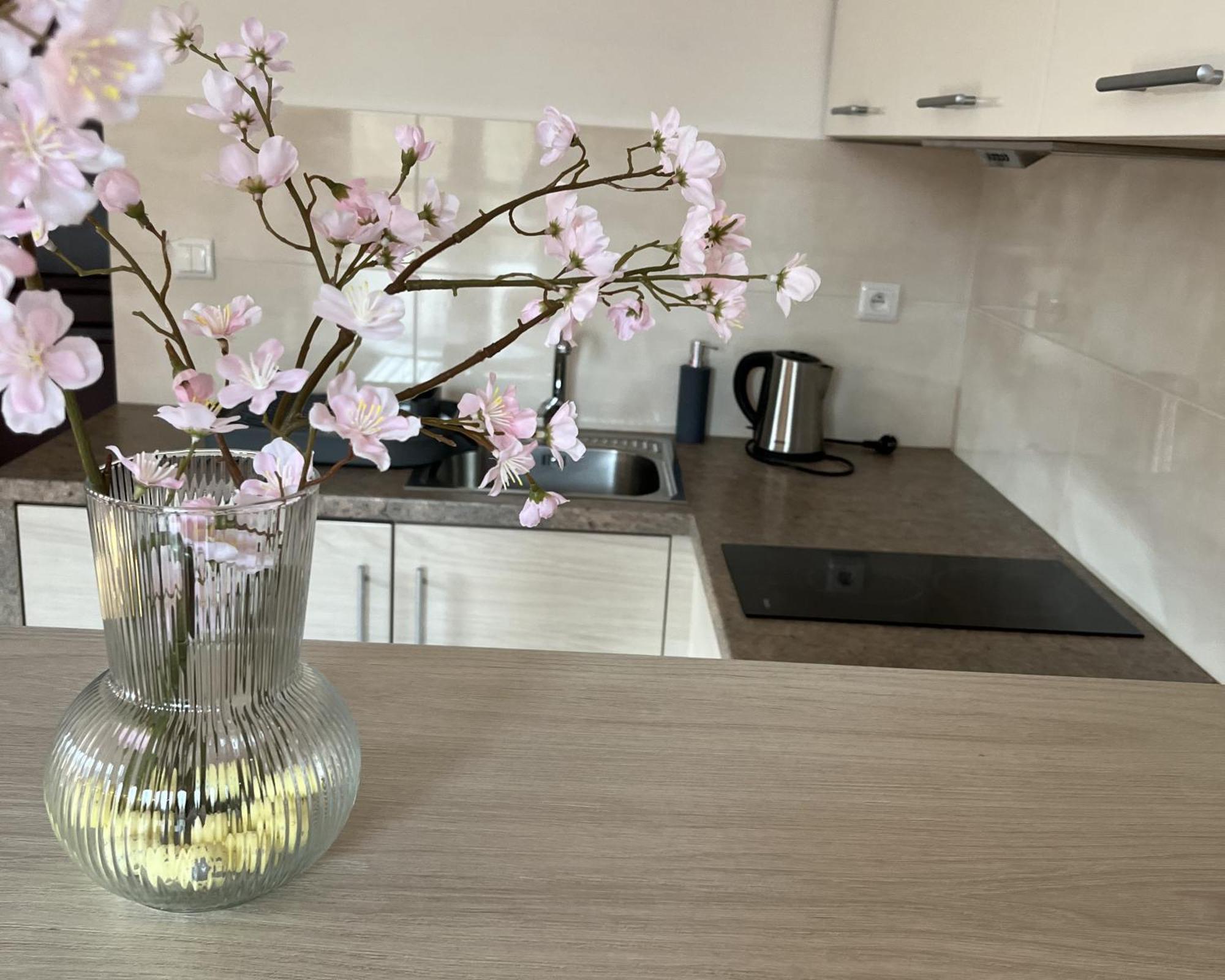 Apartamety I Pokoje Goscinne Na Jaskolczej Świeradów-Zdrój المظهر الخارجي الصورة