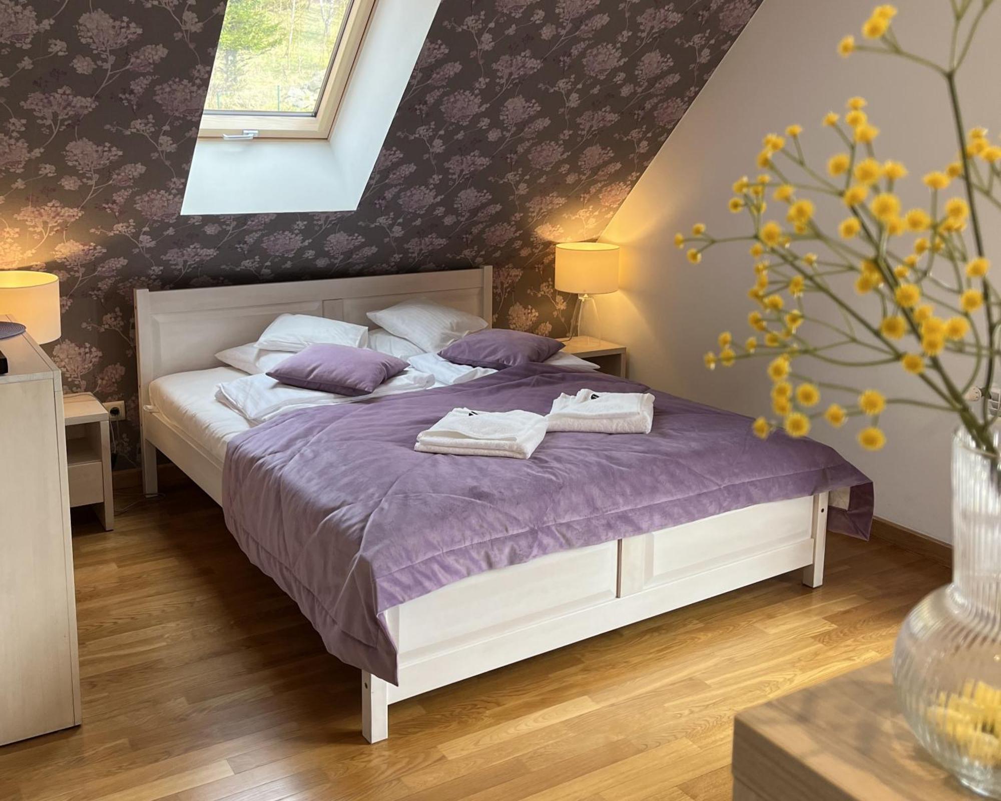 Apartamety I Pokoje Goscinne Na Jaskolczej Świeradów-Zdrój المظهر الخارجي الصورة